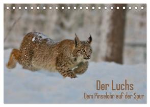 Der Luchs – Dem Pinselohr auf der Spur (Tischkalender 2024 DIN A5 quer), CALVENDO Monatskalender von Rosengarten,  Stefan