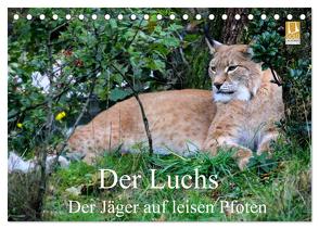 Der Luchs – Der Jäger auf leisen Pfoten (Tischkalender 2024 DIN A5 quer), CALVENDO Monatskalender von Klatt,  Arno