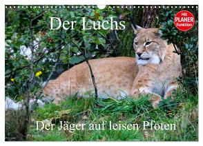 Der Luchs – Der Jäger auf leisen Pfoten (Wandkalender 2024 DIN A3 quer), CALVENDO Monatskalender von Klatt,  Arno