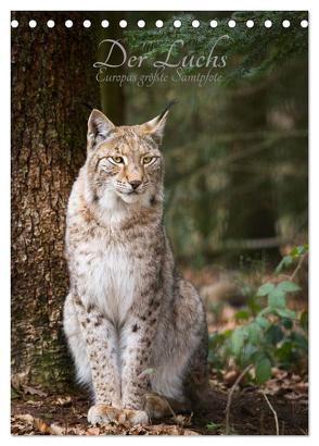 Der Luchs – Europas größte Samtpfote (Tischkalender 2024 DIN A5 hoch), CALVENDO Monatskalender von the Snow Leopard,  Cloudtail