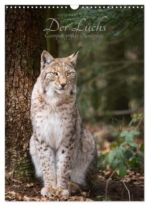 Der Luchs – Europas größte Samtpfote (Wandkalender 2024 DIN A3 hoch), CALVENDO Monatskalender von the Snow Leopard,  Cloudtail