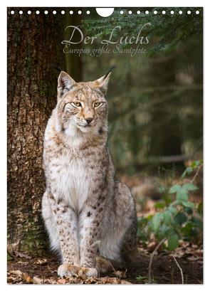 Der Luchs – Europas größte Samtpfote (Wandkalender 2024 DIN A4 hoch), CALVENDO Monatskalender von the Snow Leopard,  Cloudtail