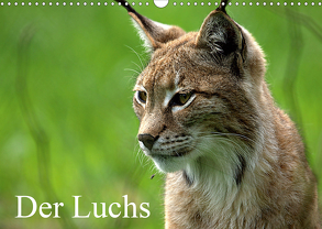 Der Luchs / Geburtstagskalender (Wandkalender 2020 DIN A3 quer) von Klatt,  Arno