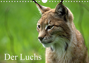 Der Luchs / Geburtstagskalender (Wandkalender 2020 DIN A4 quer) von Klatt,  Arno