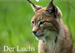 Der Luchs / Geburtstagskalender (Wandkalender 2022 DIN A3 quer) von Klatt,  Arno