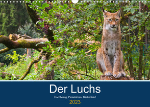 Der Luchs – Hochbeinig, Pinselohren, Backenbart (Wandkalender 2023 DIN A3 quer) von Elstner,  Dieter