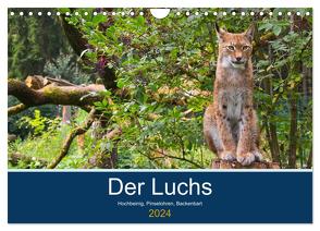 Der Luchs – Hochbeinig, Pinselohren, Backenbart (Wandkalender 2024 DIN A4 quer), CALVENDO Monatskalender von Elstner,  Dieter