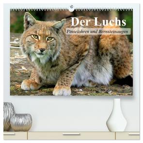 Der Luchs. Pinselohren und Bernsteinaugen (hochwertiger Premium Wandkalender 2024 DIN A2 quer), Kunstdruck in Hochglanz von Stanzer,  Elisabeth