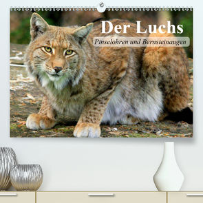 Der Luchs. Pinselohren und Bernsteinaugen (Premium, hochwertiger DIN A2 Wandkalender 2021, Kunstdruck in Hochglanz) von Stanzer,  Elisabeth