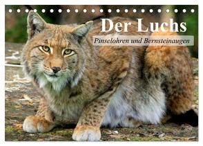 Der Luchs. Pinselohren und Bernsteinaugen (Tischkalender 2024 DIN A5 quer), CALVENDO Monatskalender von Stanzer,  Elisabeth