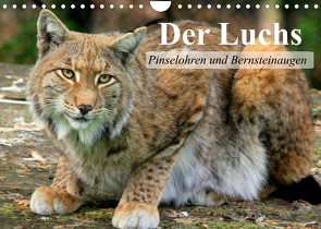 Der Luchs. Pinselohren und Bernsteinaugen (Wandkalender 2022 DIN A4 quer) von Stanzer,  Elisabeth