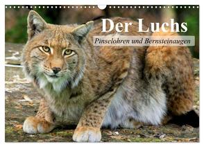 Der Luchs. Pinselohren und Bernsteinaugen (Wandkalender 2024 DIN A3 quer), CALVENDO Monatskalender von Stanzer,  Elisabeth