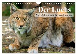 Der Luchs. Pinselohren und Bernsteinaugen (Wandkalender 2024 DIN A4 quer), CALVENDO Monatskalender von Stanzer,  Elisabeth