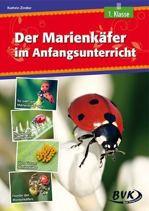 Der Marienkäfer im Anfangsunterricht von Zindler,  Kathrin