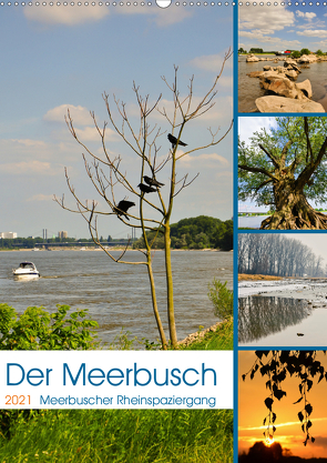 Der Meerbusch – Meerbuscher Rheinspaziergang (Wandkalender 2021 DIN A2 hoch) von Hackstein,  Bettina