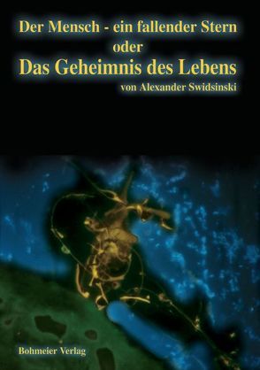 Der Mensch – ein fallender Stern oder Das Geheimnis des Lebens von Swidsinski,  Alexander