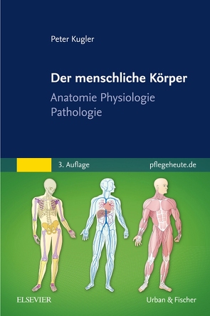 Der menschliche Körper von Kügler,  Peter