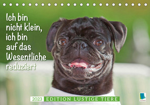 Der Mops: Nicht klein, sondern aufs Wesentliche reduziert. Edition lustige Tiere (Tischkalender 2023 DIN A5 quer) von CALVENDO