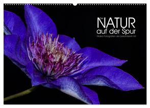 Der Natur auf der Spur – Makro-Fotografien der besonderen Art (Wandkalender 2024 DIN A2 quer), CALVENDO Monatskalender von Vonten,  Dirk