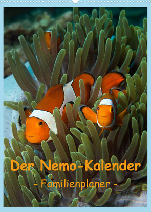 Der Nemo-Kalender (Wandkalender 2023 DIN A2 hoch) von Niemann,  Ute