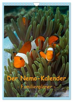 Der Nemo-Kalender (Wandkalender 2024 DIN A4 hoch), CALVENDO Monatskalender von Niemann,  Ute