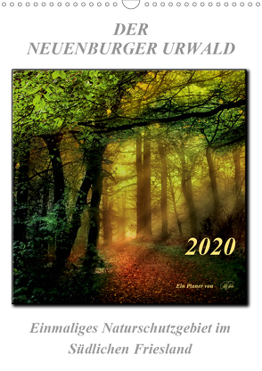 Der Neuenburger Urwald (Wandkalender 2020 DIN A3 hoch) von Roder,  Peter