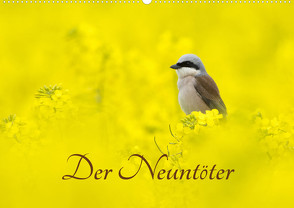 Der Neuntöter (Wandkalender 2023 DIN A2 quer) von Martin (GDT),  Wilfried