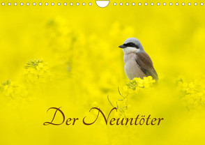 Der Neuntöter (Wandkalender 2023 DIN A4 quer) von Martin (GDT),  Wilfried