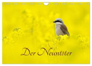 Der Neuntöter (Wandkalender 2024 DIN A4 quer), CALVENDO Monatskalender von Martin (GDT),  Wilfried