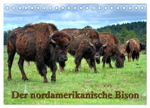 Der nordamerikanische Bison (Tischkalender 2024 DIN A5 quer), CALVENDO Monatskalender von Wilczek,  Dieter