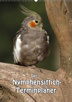 Der Nymphensittich-Terminplaner (Wandkalender 2021 DIN A2 hoch) von Lindert-Rottke,  Antje