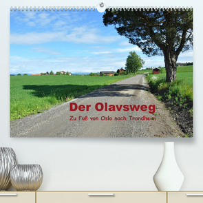 Der Olavsweg (Premium, hochwertiger DIN A2 Wandkalender 2023, Kunstdruck in Hochglanz) von Lange,  Wolfgang