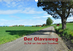 Der Olavsweg (Wandkalender 2022 DIN A3 quer) von Lange,  Wolfgang