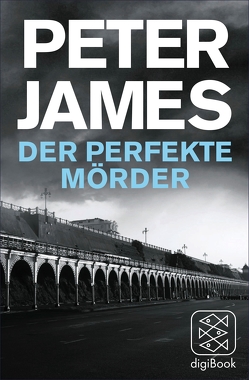 Der perfekte Mörder von James,  Peter, Strüh,  Christine