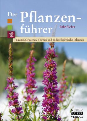 Der Pflanzenführer von Fischer,  Anke