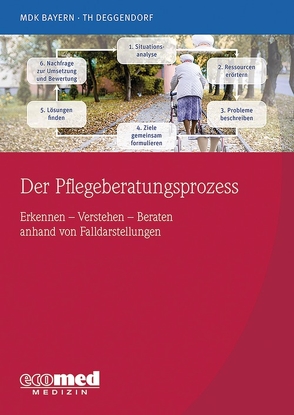 Der Pflegeberatungsprozess anhand von Fallverläufen