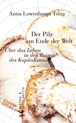 Der Pilz am Ende der Welt von Höfer,  Dirk, Lowenhaupt Tsing,  Anna