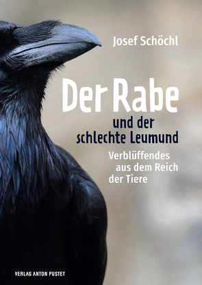 Der Rabe und der schlechte Leumund von Schöchl,  Josef