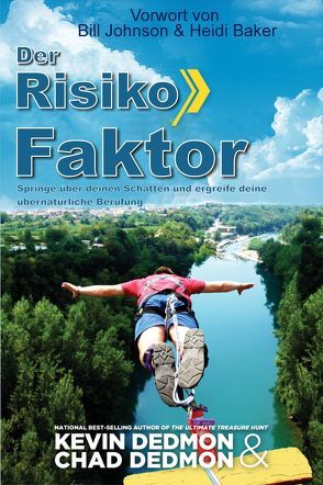 Der Risiko Faktor von Dedmon,  Kevin + Chad, Trischler,  Petra