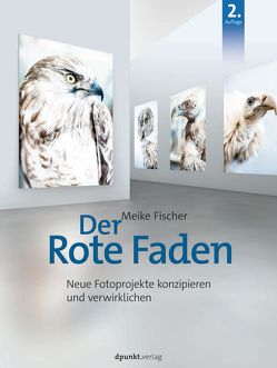 Der Rote Faden von Fischer,  Meike