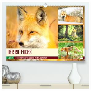 Der Rotfuchs. Flauschiger Geselle mit Köpfchen (hochwertiger Premium Wandkalender 2024 DIN A2 quer), Kunstdruck in Hochglanz von Hurley,  Rose