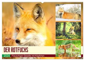 Der Rotfuchs. Flauschiger Geselle mit Köpfchen (Wandkalender 2024 DIN A2 quer), CALVENDO Monatskalender von Hurley,  Rose