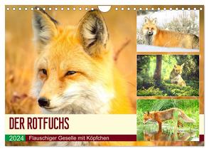 Der Rotfuchs. Flauschiger Geselle mit Köpfchen (Wandkalender 2024 DIN A4 quer), CALVENDO Monatskalender von Hurley,  Rose