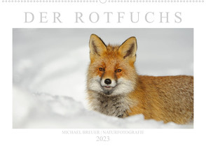 Der Rotfuchs (Wandkalender 2023 DIN A2 quer) von Breuer,  Michael