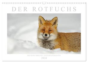 Der Rotfuchs (Wandkalender 2024 DIN A3 quer), CALVENDO Monatskalender von Breuer,  Michael