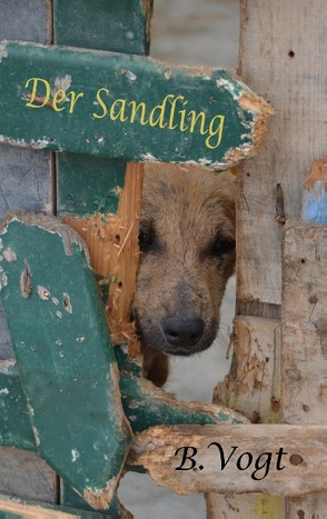 Der Sandling von Vogt,  Benjamin