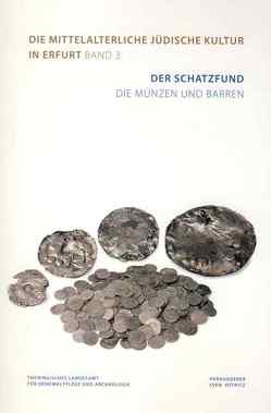 Der Schatzfund. Die Münzen und Barren von Lehmann,  Robert, Mecking,  Oliver, Ostritz,  Sven, Schlapke,  Mario, Vogt,  Carla