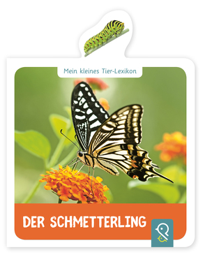 Der Schmetterling von Kastenhuber,  Hannah