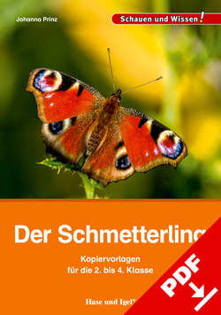 Der Schmetterling – Kopiervorlagen für die 2. bis 4. Klasse von Prinz,  Johanna