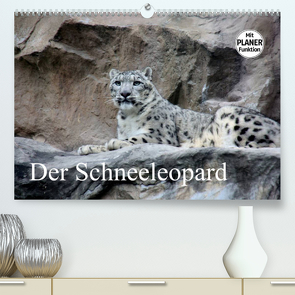 Der Schneeleopard (Premium, hochwertiger DIN A2 Wandkalender 2023, Kunstdruck in Hochglanz) von Klatt,  Arno